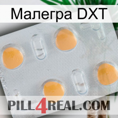 Малегра DXT 24